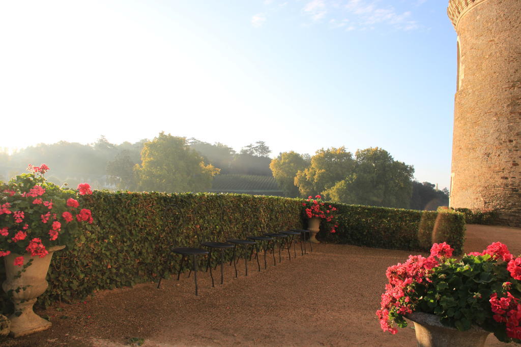 Bed and Breakfast Chateau De Brissac Exterior foto